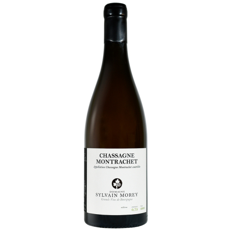 Vin blanc de Chassagne-Montrachet Sylvain Morey 2019 Vin blanc de Chassagne-Montrachet Sylvain Morey 2019