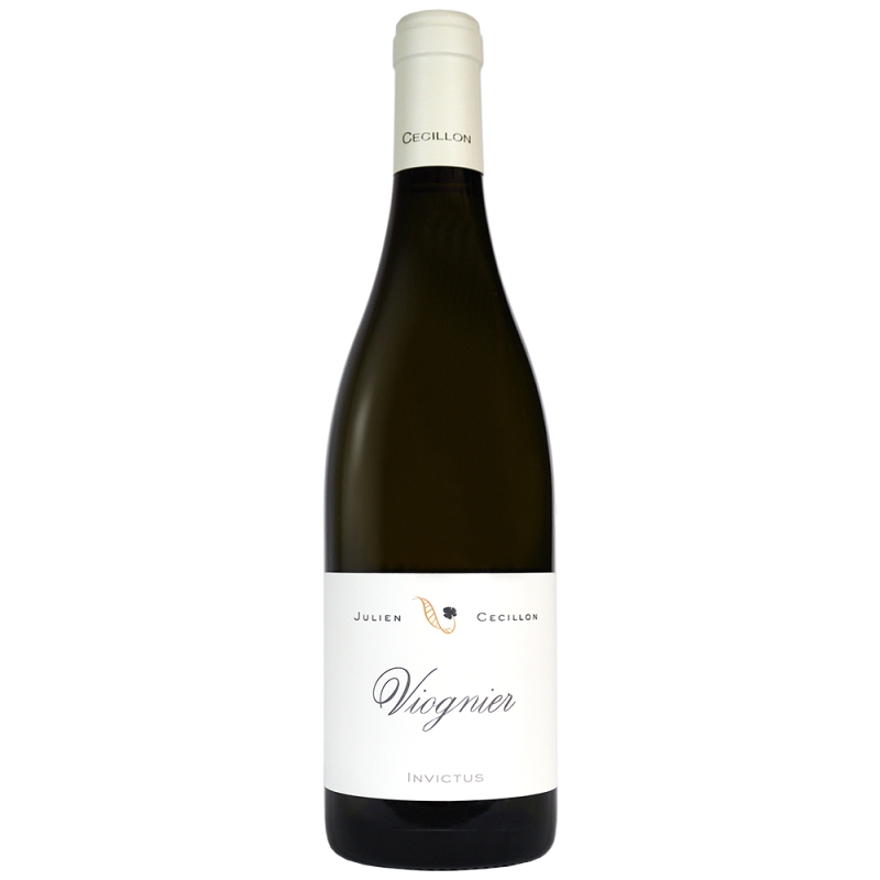 Julien Cecillon Saint-Joseph Babylone rouge, vin de la vallée du Rhône