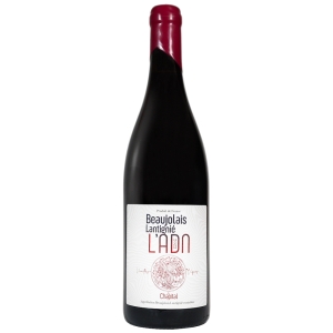Vin rouge du Beaujolais-Lantignié L'ADN du Chapital Vin rouge du Beaujolais-Lantignié L'ADN du Chapital