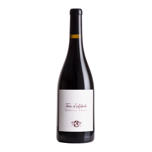 Vin blanc biodynamique du Ventoux domaine Alloïs cuvée Terre d'Aïlleuls rouge