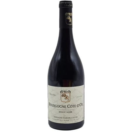 Vin rouge bio Pinot Noir Bourgogne de Fabien Coche