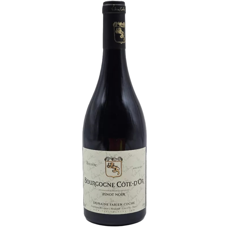 Vin rouge bio Pinot Noir Bourgogne de Fabien Coche
