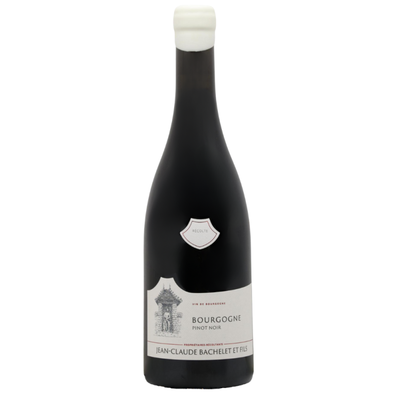 Vin rouge de Bourgogne, du domaine Jean-Claude Bachelet