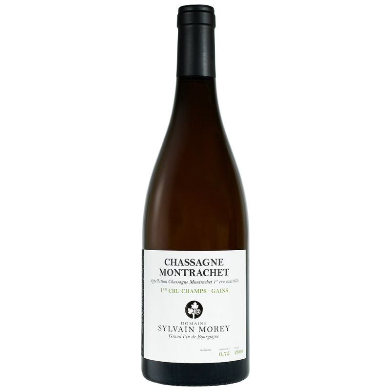 Vin blanc de Chassagne-Montrachet Sylvain Morey Champs-Gains