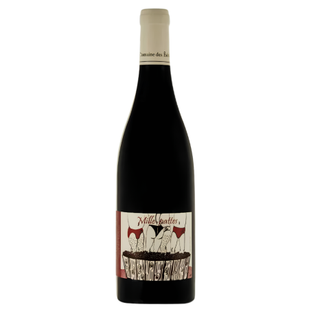 Vin rouge 100% gamay du domaine Bérioles cuvée Mille-Pattes