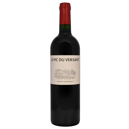 Vin rouge de Côtes de Bordeaux Castillon L'Aurage - Le Pic du Versant