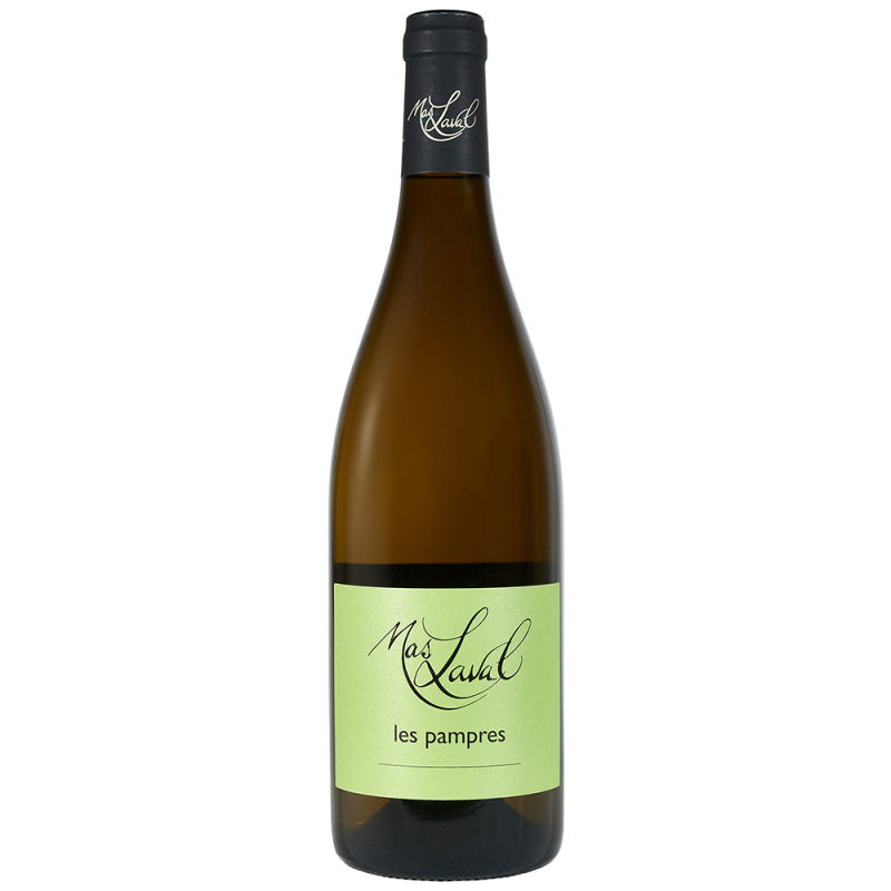 Vin blanc d' IGP de l'Hérault Mas Laval les Pampres
