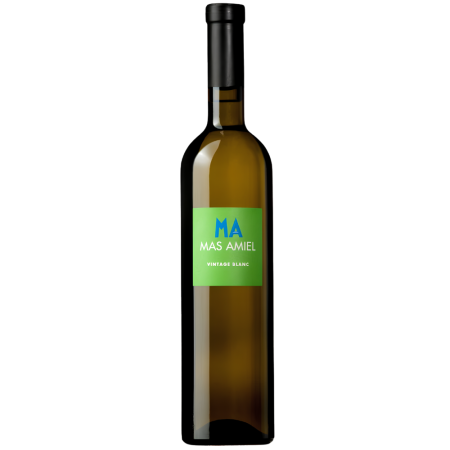 Vin doux naturel blanc de Languedoc, domaine Mas Amiel_Maury