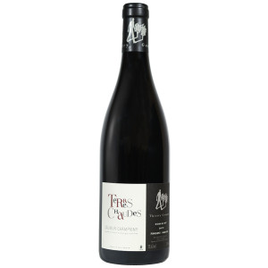 Vin rouge de Saumur-Champigny Les Roches Neuves cuvée Terres chaudes Vin rouge de Saumur-Champigny Les Roches Neuves cuvée Terres chaudes