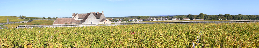 Vins Côtes de Nuits, Bourgogne - V Comme Vin