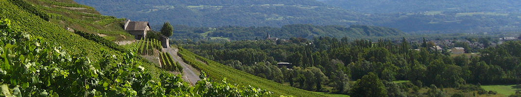 Vins du Jura, et vins de Savoie - V Comme Vin