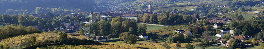 Vins Château-Chalon, Arbois, Côtes du Jura, Macvin du Jura, Crémant du Jura et Arbois-Pupillin