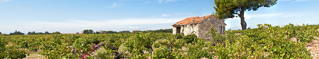 Tous les vins du Rhône - V Comme Vin