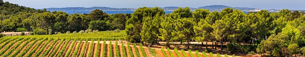 Figuière - Vins de Provence