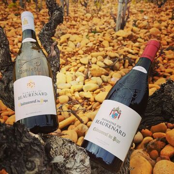 Comme une évidence... 🍷
Le domaine de Beaurenard est de retour dans notre sélection 😍
Ce que nous aimons dans ce domaine, c'est l'histoire de cette famille Coulon, qui depuis des générations fait des vins de Châteauneuf du Pape qui témoignent d'un enracinement profond à cette terre recouverte de galets.
Goûter et apprécier ces vins, c'est aussi s'inscrire dans cette histoire. 🍷😍

#domainedebeaurenard #chateauneufdupape #instawine #vinbio #organicwine #rhonewine #caviste #vcommevin #paysdapt

🔞L'abus d'alcool est dangereux pour la santé 🔞
