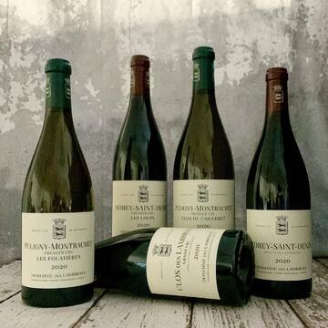 Le Domaine des Lambrays : en route vers l’excellence ! 🤩

Véritable joyau de la Bourgogne, le domaine des Lambrays produit des vins d’une précision exceptionnelle. 

Le Clos des Lambrays en Grand cru est une combinaison parfaite d'un sublime terroir et d’un savoir-faire remarquable.

Merci à eux pour leur confiance, ils viennent parfaire notre constellation des très grands Bourgogne.

#lambrays #vinsrouges #winetasting#winelover #bourgogne #closdeslambrays#winestagram #winery #winetime#vino
#vineyard #winelovers #winelife #winerylovers #vcommevin

🔞L’abus d’alcool est dangereux pour la santé🔞
