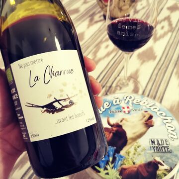 Petit canon sympatoche à l'accent savoyards signé @yoan_cavagna
⚡Ne pas mettre la charrue avant les bœufs⚡ 🍷une mondeuse tout en fraîcheur et juteuse à souhait 🤩
C'est tout bon 😍😍la Savoie !! 

#yoancavagna #vindesavoie #mondeuse #savoie #instawine #vinbio #organicwine #onreblochonneetonsedétend #vcommevin

🔞L'abus d'alcool est dangereux pour la santé 🔞