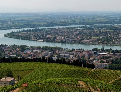 Les vins de la vallée du Rhône : quelle richesse !