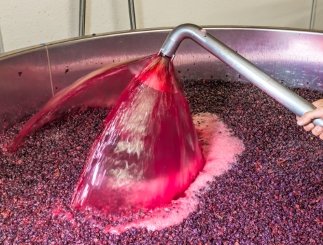 Comprendre les sulfites dans le vin : Mythes, réalités et conseils pour tous