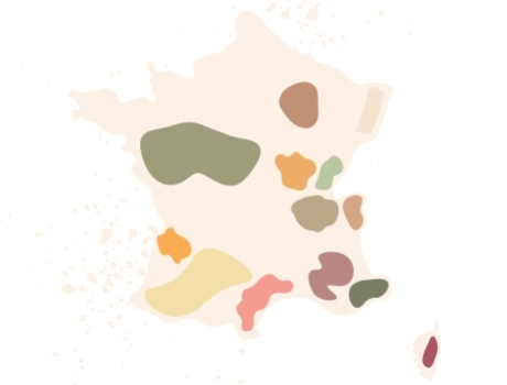 Les terroirs d'exception : géologie & climat : le secret des grands vins ?